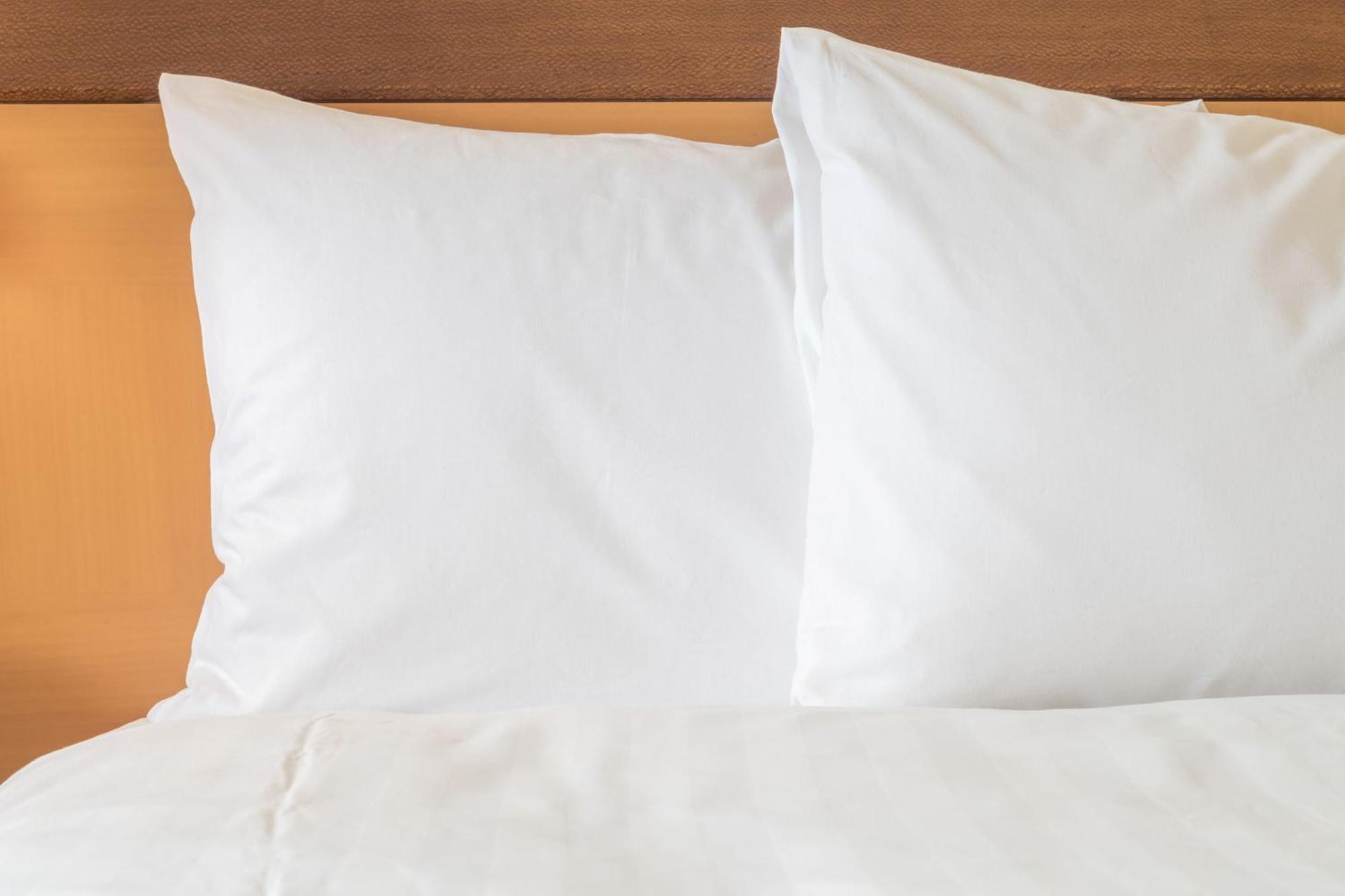 Holiday Inn Ulaanbaatar By Ihg Εξωτερικό φωτογραφία